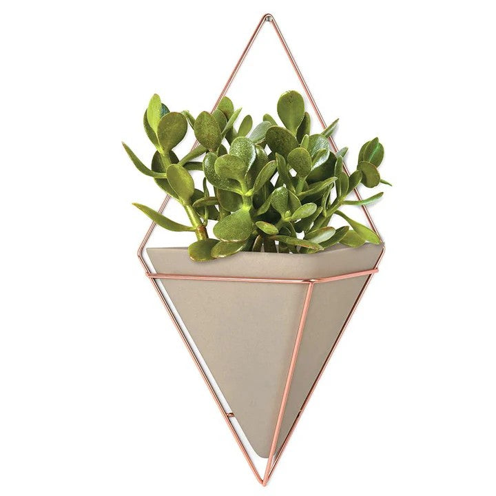 Planters